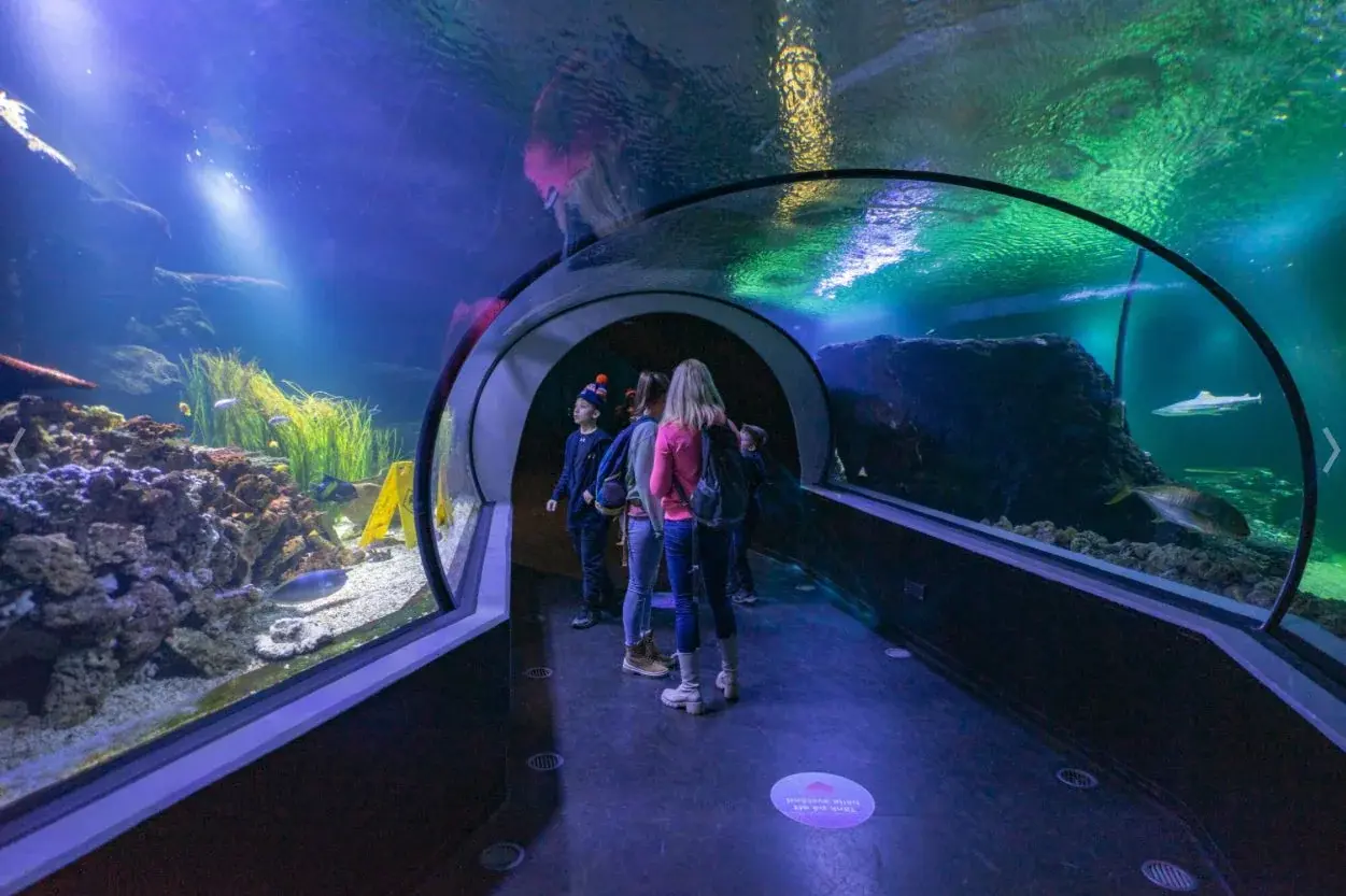 Universeum